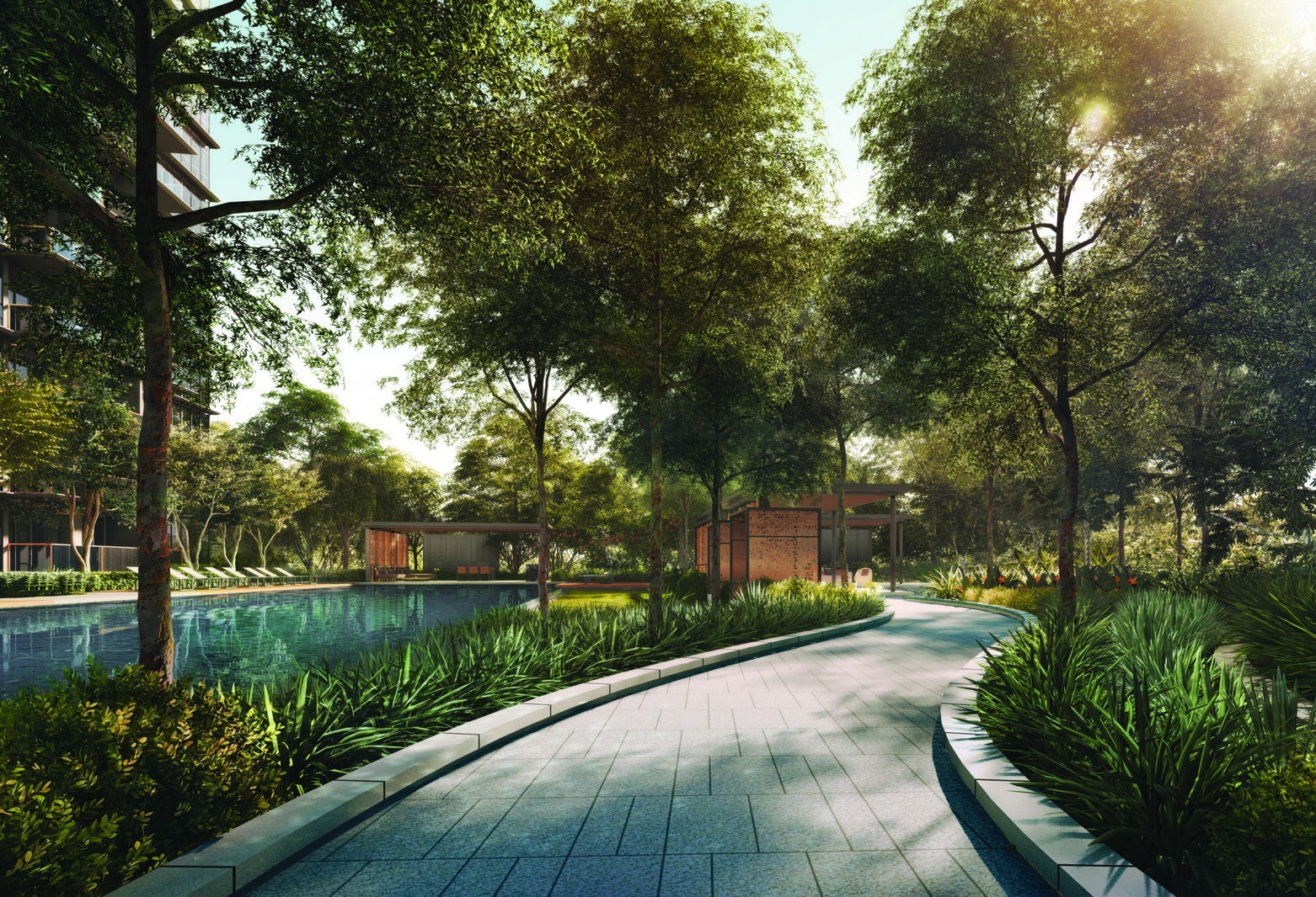 Forest walk (artist’s impression)